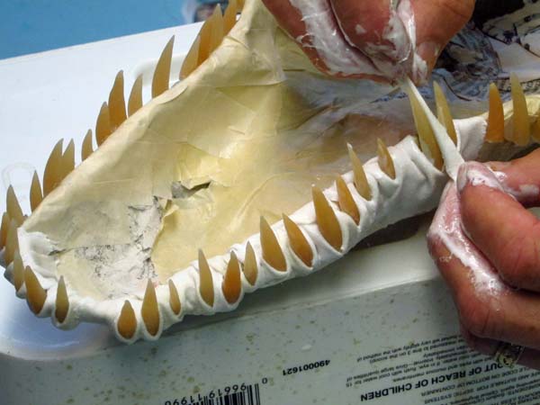 Paper Mache Drogon build- add teeth