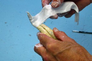 11 Paper Mache Drogon- wrap cloth around tongue