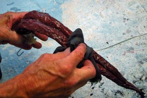 13 Paper Mache Drogon- blackwash tongue