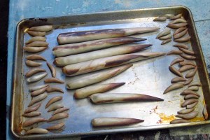 20 Paper Mache Drogon- horns