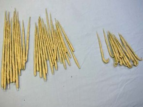 Year of the Paper Mache dragon-spines