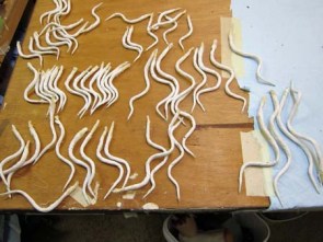 Year of the Paper Mache dragon-spines with cloth