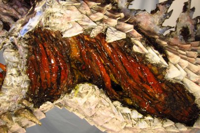 Zombie Paper Mache Dragon- sinew