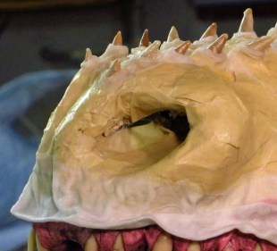 paper mache Drogon- enhanced nose