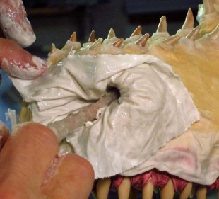 paper mache Drogon- cloth mache nose1