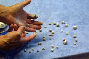 paper mache spitballs