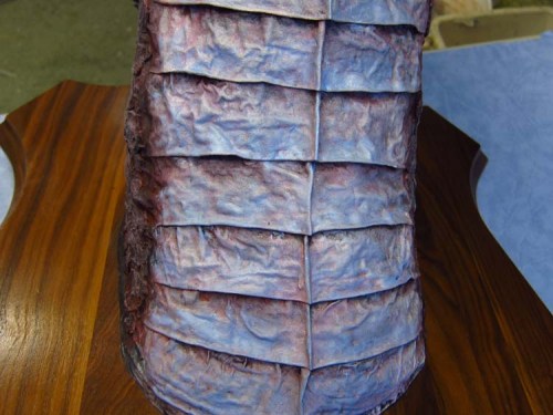 Paper Mache Drogon Tropy- breast plates