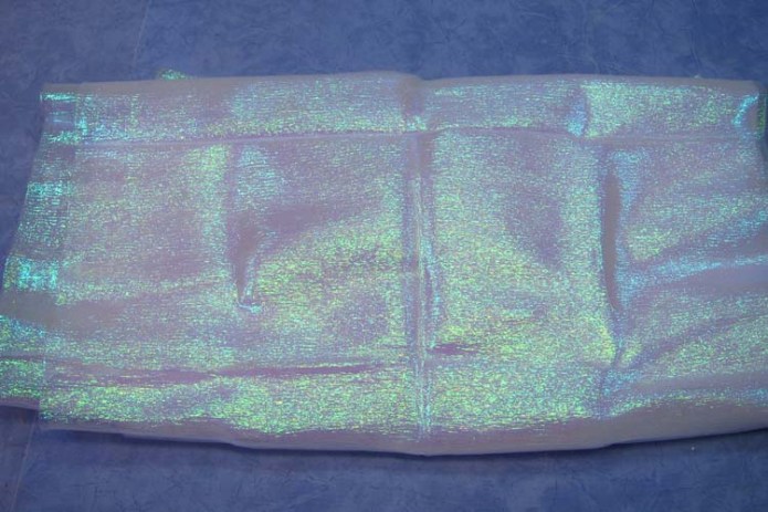 paper mache dragonfly- cloth1