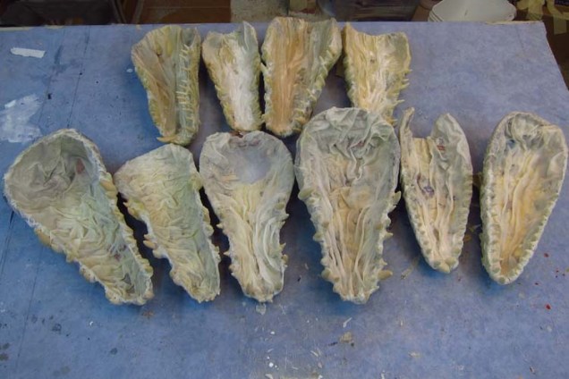 Paper mache Tiamat dragons- jaws