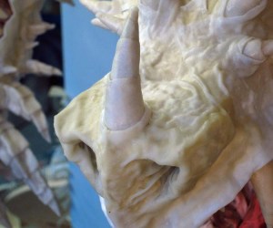 Paper mache tiamat dragon -nose