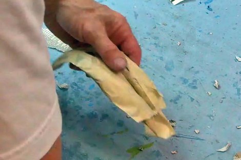 paper mache tongue 3