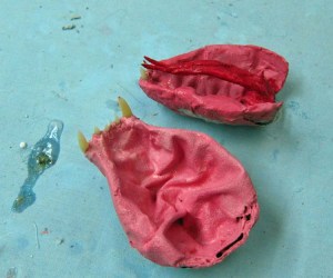 paper mache cat dragon -paint jaws